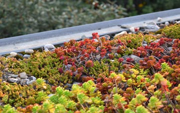 the cost of Tredannick green roof installation